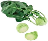 Kohlrabi im Marktkauf Prospekt Kohlrabi im aktuellen Marktkauf Prospekt für 0,79 €