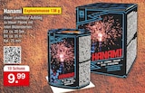 Aktuelle Feuerwerk Angebote bei Zimmermann in Aurich Aktuelles Hanami Angebot bei Zimmermann in Aurich ab 9,99 €