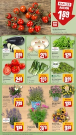 Aktueller REWE Prospekt mit Blumen, "Dein Markt", Seite 7