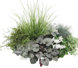 Herbstpflanzen Me-Tallica bei Hagebaumarkt im Kierspe Prospekt für 3,99 €