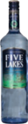 Wodka im tegut Prospekt Five Lakes von Dovgan im aktuellen tegut Prospekt für 9,99 €