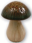 Champignon à poser en promo à 4,79 € chez Super U Champignon à poser dans le catalogue Super U