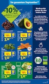 Salat im Lidl Prospekt in Duisburg Aktueller Lidl Prospekt mit Salat, "LIDL LOHNT SICH", Seite 3