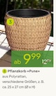 Pflanzen Kölle Teltow - Pflanzkorb Pune Angebot im Prospekt Pflanzkorb Pune bei Pflanzen Kölle im Teltow Prospekt für 9,99 €