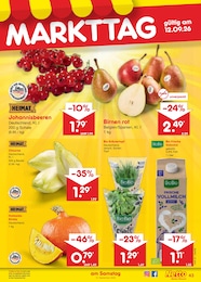 Chicoree Angebot im aktuellen Netto Marken-Discount Prospekt auf Seite 61