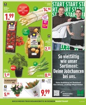 Aktueller Marktkauf Prospekt mit Tulpen, "Aktuelle Angebote", Seite 3
