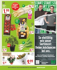 Kartoffeln im aktuellen Marktkauf Prospekt (Wuppertal) Kartoffeln im Marktkauf Prospekt "Aktuelle Angebote" mit 28 Seiten (Wuppertal)