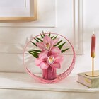 Orchidée 2 fleurons - Carrefour à Aulnay-sous-Bois Orchidée 2 fleurons en promo chez Carrefour Aulnay-sous-Bois à 10,99 €