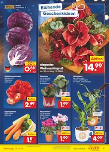 Tomaten im Netto Marken-Discount Prospekt "Aktuelle Angebote" mit 50 Seiten (Rostock)