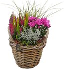 Herbstlicher Weidenkorb im Angebot bei REWE in Brandenburg Herbstlicher Weidenkorb Angebote bei REWE Brandenburg für 19,99 €