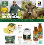 Joghurt im Marktkauf Prospekt in Ulm Aktueller Marktkauf Prospekt mit Joghurt, "Aktuelle Angebote", Seite 20