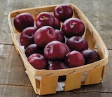 Promo Prune Jaune à 2,19 € dans le catalogue Netto à Distré