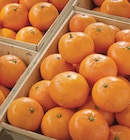 Mandarine à 1,59 € dans le catalogue Netto