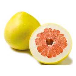 Pomelo rot