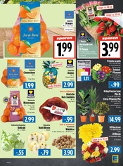 Aktueller EDEKA Prospekt mit Garten, "Aktuelle Angebote", Seite 7