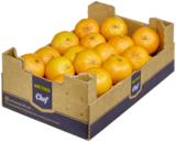 Clementinen von Metro Chef im aktuellen METRO Prospekt