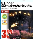 Aktuelles LED-Solar-Glühwürmchenleuchte Angebot bei Wreesmann in Dresden ab 3,99 €