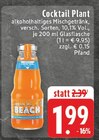 EDEKA - Cocktail Plant Angebot im Prospekt Cocktail Plant bei EDEKA im Prospekt "" für 1,99 €