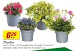 Angebot im toom Baumarkt Riesa Prospekt toom Baumarkt Riesa Prospekt mit im Angebot fĂŒr 6,99 âŹ