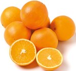 Orangen  im aktuellen Netto mit dem Scottie Prospekt für 2,49 €