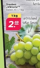 Netto mit dem Scottie Stendal (Hansestadt) Prospekt mit  im Angebot für 2,69 €