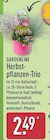 Herbstpflanzen-Trio von Gardenline im aktuellen ALDI Nord Prospekt für 2,49 €