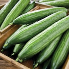 Concombre à 1,69 € dans le catalogue Netto