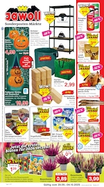 Aktueller Jawoll Discounter Prospekt in Gersdorf und Umgebung, "Sonderposten-Märkte" mit 12 Seiten, 29.09.2025 - 04.10.2025