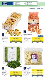METRO Knoblauch im Prospekt METRO Knoblauch im Prospekt