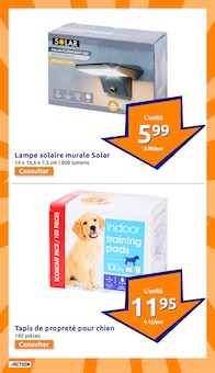 Promo Luminaire Extérieur dans le catalogue Action du moment à la page 5