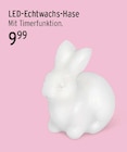 LED-Echtwachs-Hase im aktuellen E center Prospekt