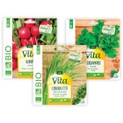 SUR TOUTES LES SEMENCES - VITA - Carrefour à Tours SUR TOUTES LES SEMENCES - VITA en promo chez Carrefour Tours