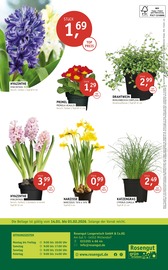 Aktueller ROSENGUT Langerwisch Prospekt mit Tierbedarf, "ORCHIDEEN-WOCHEN.", Seite 4