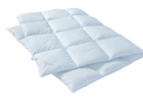 Aktuelles Dreikammerkissen Angebot bei Matratzen Concord in Oldenburg ab 59,90 €