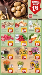 REWE Pilze im Prospekt 