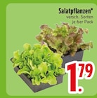 Salatpflanzen  im aktuellen EDEKA Prospekt für 1,79 €