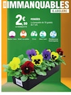 Promo Pensées à 2,99 € dans le catalogue E.Leclerc à Marennes