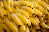 Promo Bananes à 1,19 € dans le catalogue Norma à Metz