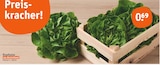 Aktuelle Salat Angebote bei tegut in Mannheim Aktuelles Kopfsalat Angebot bei tegut in Mannheim ab 0,69 €
