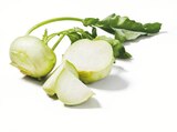 Aktuelle Kohlrabi Angebote bei Lidl in Wuppertal Aktuelles Deutscher Kohlrabi Angebot bei Lidl in Wuppertal ab 0,45 €