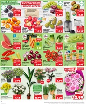 Farbe im Kaufland Prospekt in Lingen Aktueller Kaufland Prospekt mit Farbe, "Aktuelle Angebote", Seite 10