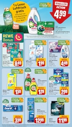 Ariel Angebot & Preis im aktuellen REWE Prospekt Ariel Angebot im aktuellen REWE Prospekt auf Seite 19