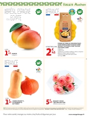 Plante Verte en promo dans le catalogue Auchan Supermarché à la page 9
