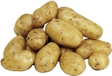 Kartoffeln im E xpress Prospekt Speisefrühkartoffeln von GUT & GÜNSTIG im aktuellen E xpress Prospekt für 2,99 €