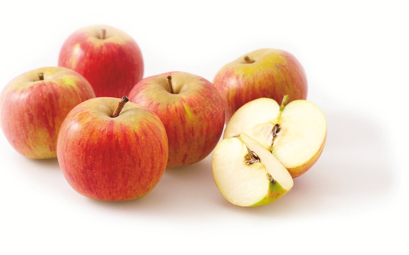 Reine des Reinettes Pommes