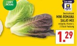 Mini-Romana Salat-Mix im Angebot bei Marktkauf in Lippstadt Mini-Romana Salat-Mix Angebote bei Marktkauf Lippstadt für 1,29 €