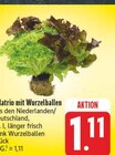 Aktuelles Salattrio mit Wurzelballen Angebot bei EDEKA in Nürnberg ab 1,11 €
