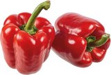 Aktuelle Paprika Angebote bei E center in Münster Aktuelles Bio Paprika rot Angebot bei E center in Münster ab 2,77 €