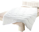 Aktuelles Mikrofaser-Steppbett Angebot bei Thomas Philipps in Rostock ab 7,77 €