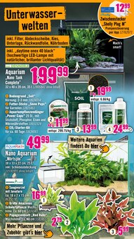 Pflanzen im aktuellen Hornbach Prospekt (Saarbrücken) Pflanzen im Hornbach Prospekt "Das beste Projekt ist immer das nächste." mit 31 Seiten (Saarbrücken)